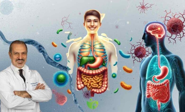 Bağırsak Mikrobiyotası ve yaşlanma arasındaki şaşırtıcı bağlantı 1