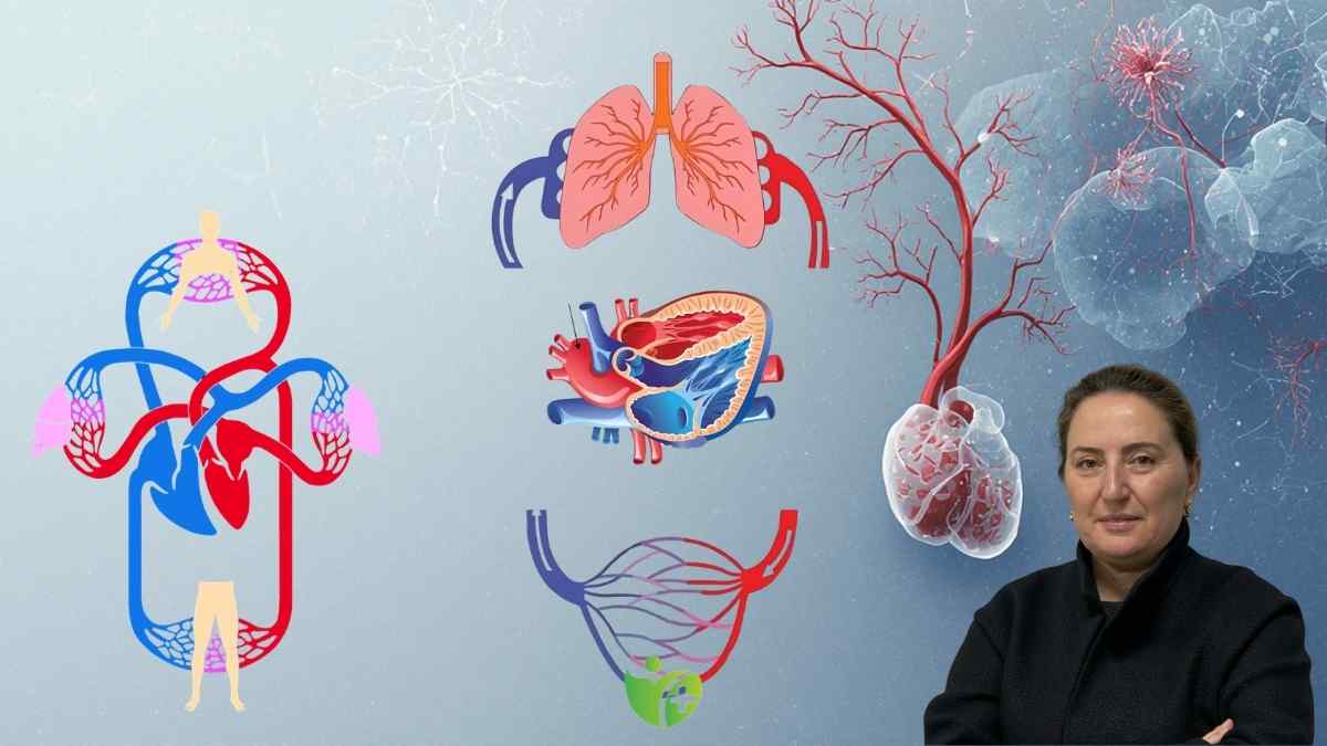 Kalp ve Akciğer rehabilitasyonu her yaş için neden önemli? 7