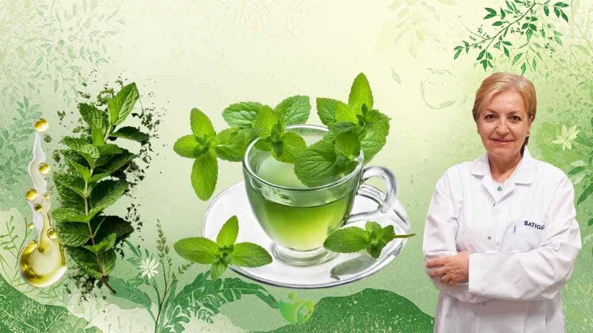 Hormonal sivilcelere karşı Kıvırcık nane çayı işe yarıyor mu? 7