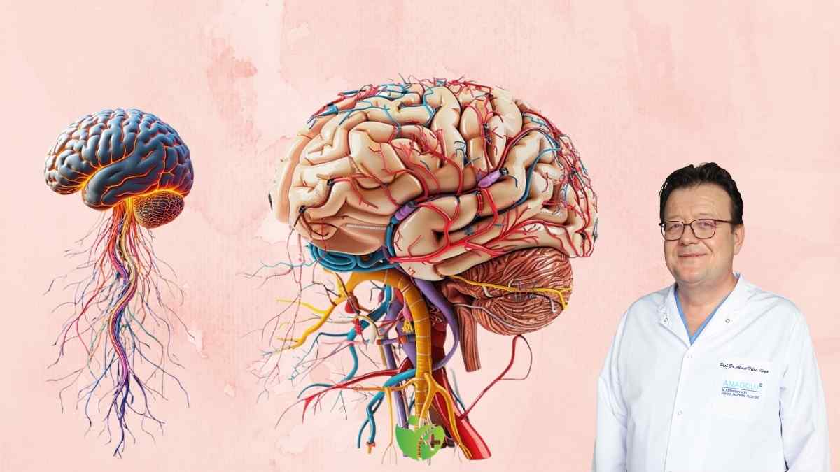 Beyin dokusu neden Ağrı hissetmez? Bilimsel gerçekler 7