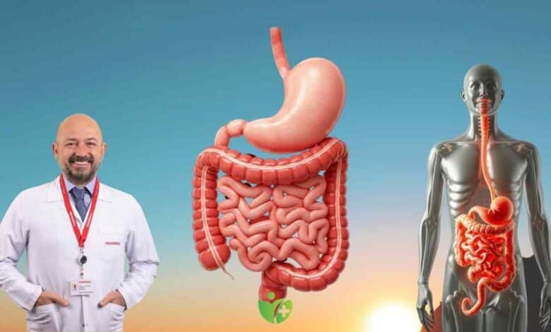 Dünyada 2 milyon, Türkiye'de 22 bin: Kolon kanseri neden artıyor? 1