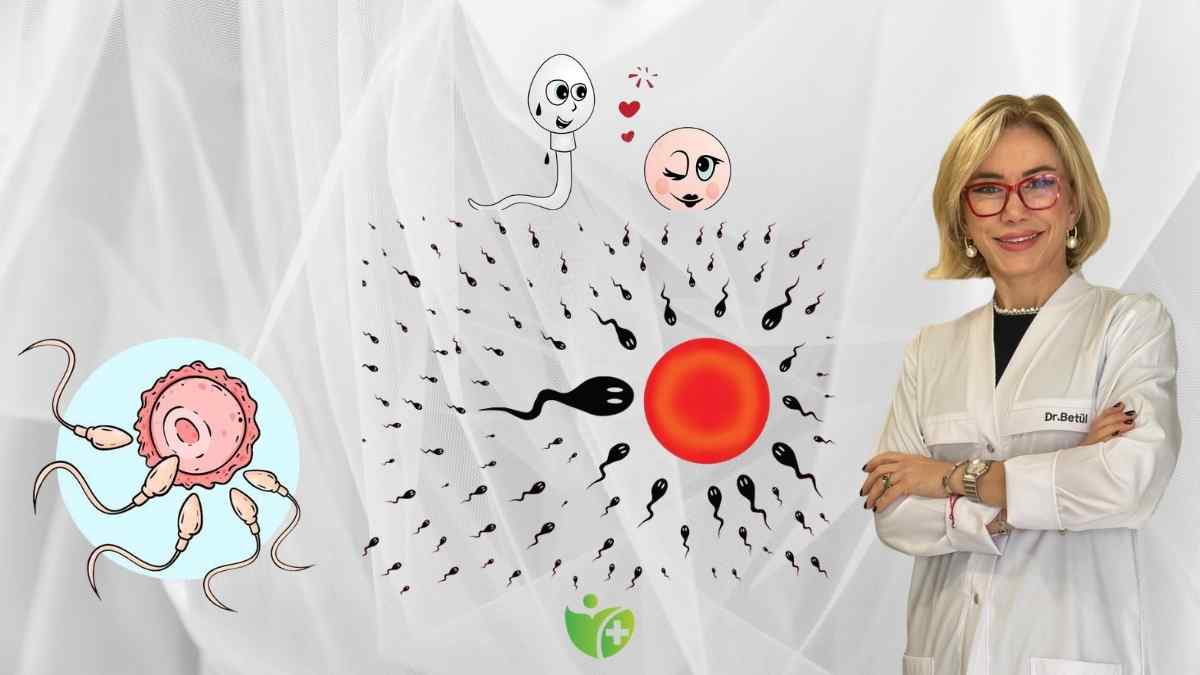 Yumurta Spermi sadece kabul etmiyor, Aktif olarak seçiyor 7