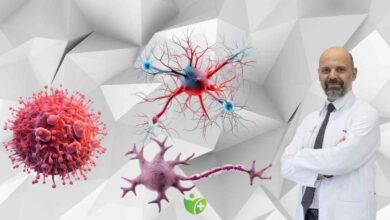 Kanserde Devrim: ‘Dokunulamaz’ hedeflere yeni umut 12